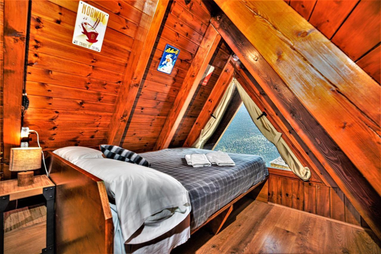 Apartament Aran